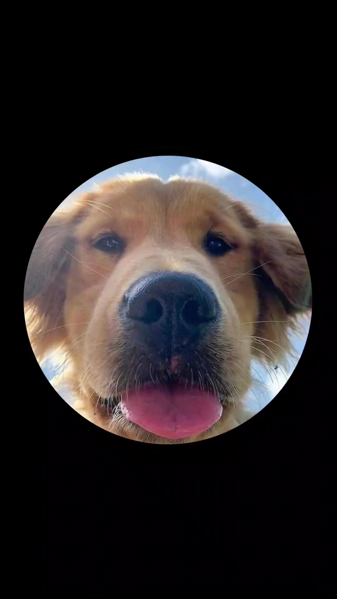 Capkit. Capkit